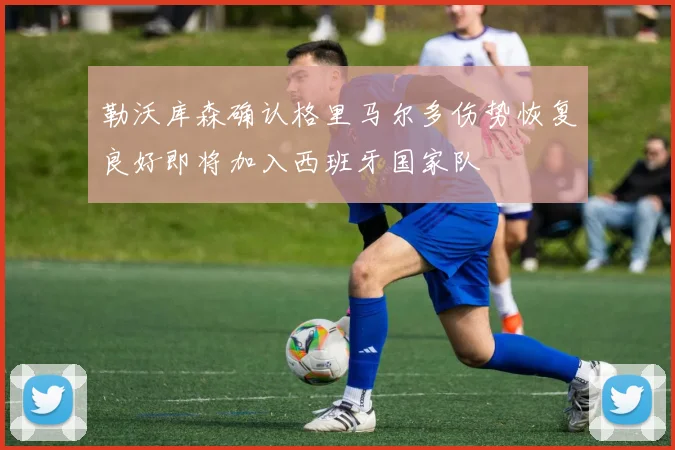 勒沃库森确认格里马尔多伤势恢复良好即将加入西班牙国家队