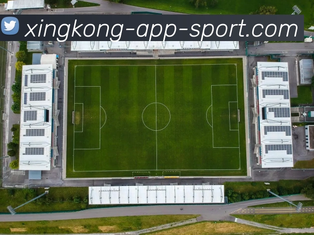 星空体育平台生态图