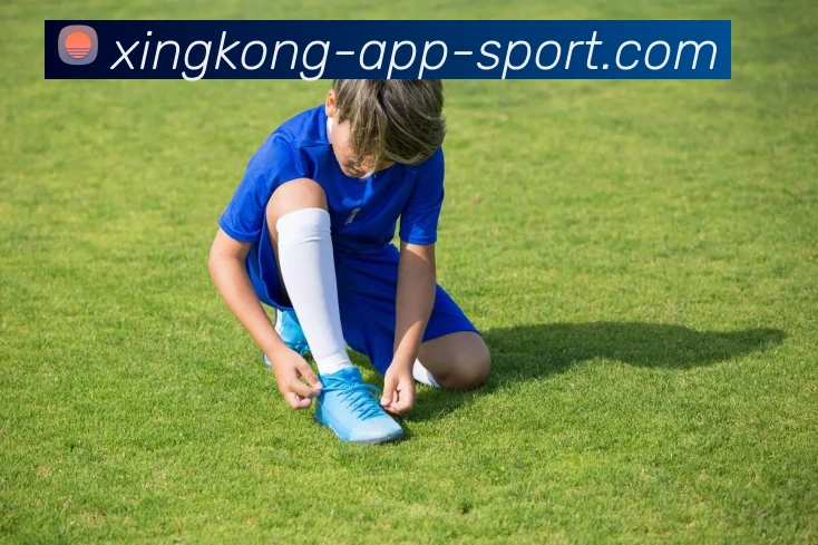 星空体育APP 封面图